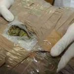Aksion policor në Maqedoninë e Veriut, konfiksohen 4 tonë marihuanë
