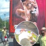 Luiz Ejlli sheh rastësisht kamionin me posterin e tij, ndalon shoferin dhe del nga vetura për të bërë fotografi