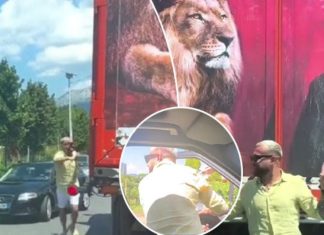 Luiz Ejlli sheh rastësisht kamionin me posterin e tij, ndalon shoferin dhe del nga vetura për të bërë fotografi
