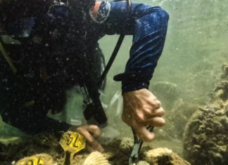 Rekordi i nxehtësisë së oqeanit është thyer, alarmohen shkencëtarët: Ka ndodhur më shpejt nga sa ishte parashikur