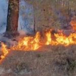 Dy zjarre të mëdha në Veles dhe Shkup
