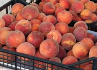 Shtetet e rajonit i bllokuan perimet e rrezikshme nga Serbia, institucionet e Kosovës zotohen se nuk importojnë fare produkte të tilla