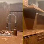 Për klikime në Tik Tok, i riu lyen shtëpinë e prindërve me nutella