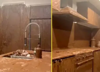 Për klikime në Tik Tok, i riu lyen shtëpinë e prindërve me nutella