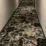 Keni nivel të lartë inteligjence nëse arrini ta gjeni macen ne fotografi