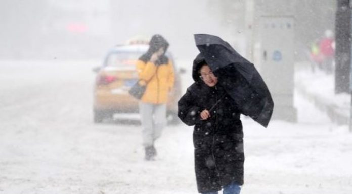 -800-0-8d0e0cc9a431d31f6684d25a43b40e54