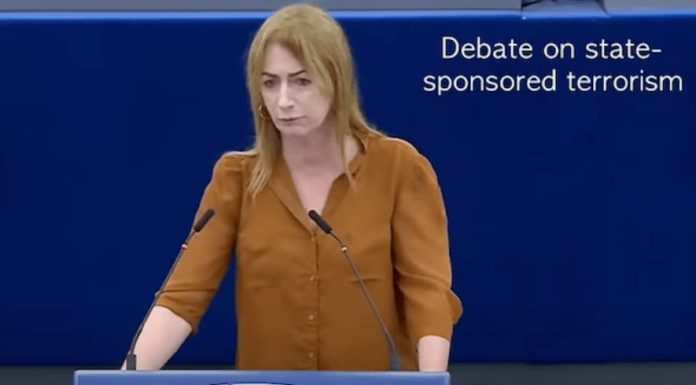 Eurodeputetja irlandeze