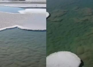 Një botë e humbur në planetin tonë: “Askush s’ka parë ndonjëherë diçka të tillë”