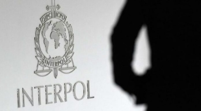interpol-4-237976-725x408-1-e1701983922399-1130x635