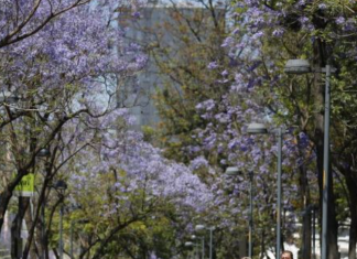 Çfarë po ndodh? Shkencëtarët ngrenë alarmin, shkurti i këtij viti më i nxehti në histori