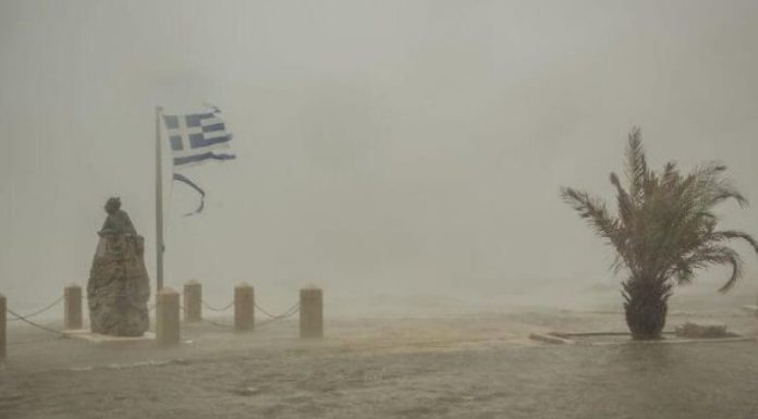 -800-0-a7376a82fb2f25eeaec29e575bfa9c9e (1)