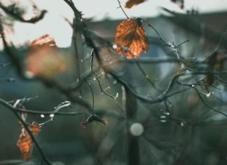 Nesër pritet erë e fuqishme, do të rriten temperaturat në Maqedoninë e Veriut