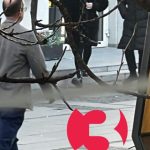 Modestia e Taravarit, shëtitet në mes të Shkupit pa truproje