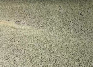 Më e keqja në histori! Thatësira ekstreme në këtë vend prek mbi 200 qytete