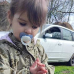 Masakrimi i 2-vjeçares në Serbi, vijojnë kërkimet për gjetjen e trupit, Vuçiç reagon ashpër: Dënim me vdekje për këto krime të rënda