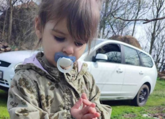 Masakrimi i 2-vjeçares në Serbi, vijojnë kërkimet për gjetjen e trupit, Vuçiç reagon ashpër: Dënim me vdekje për këto krime të rënda