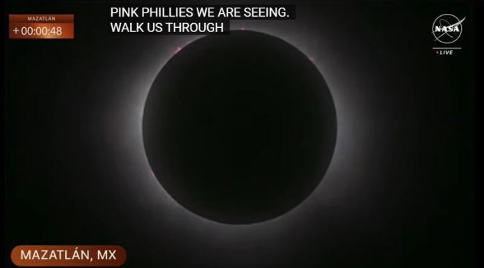 -800-0-51b3ca25b8ba49f9e055a69220f15cf4