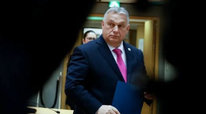 -800-0-6659905bd2377