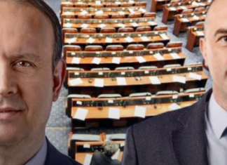 Afrim Gashi dhe Halil Snopçe, kandidatët e VLEN-it për kryetar të Kuvendit?