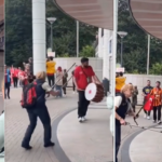 E moshuara gjermane irritohet nga zhurma e tupanit, e përdor shkopin (VIDEO)