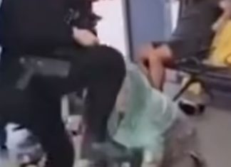 Tronditëse në aeroport! Polici godet me shqelm 19-vjeçarin në kokë