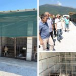 Kasami: Edhe një problem me dekada merr fund për Tetovën, strehimore për qentë endacak