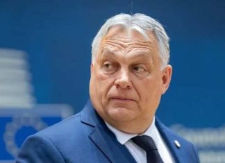 U tha se Putin mund të sulmojë një nga vendet e NATOs, reagon Viktor Orban
