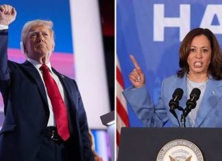 Harris apo Trump: Dalin sondazhet e fundit 3 ditë para zgjedhjeve