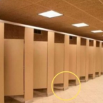 E dini pse dyert në tualete publike nuk arrijnë në dysheme?