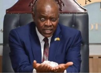 Gjendet diamanti i dytë më i madh në botë, ja reagimi epik i presidentit të Botsvanës (VIDEO)