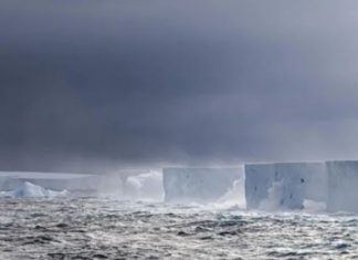 Prej muajsh duke u rrotulluar në vend, çfarë po ndodh me ajsbergun më të madh në botë?