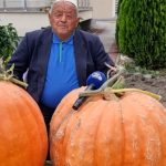 Kunguj gjigandë në Cërvicë të Kërçovës, Axha Zenel i gatshëm ta dhurojë farën, tregon se si i kultivoi