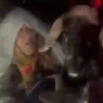 Stuhi bore në Turqi: Një çift të moshuarish të bllokuar, me qengja të përqafuar për të mos ngrirë