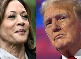 Zgjedhjet në SHBA, kush janë të famshmit që mbështesin Trump dhe Harris?