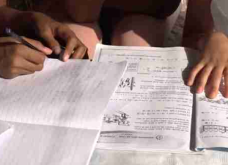 22 Nëntori, Dita e Alfabetit të Gjuhës Shqipe, por Shqipëria rrezikohet nga analfabetizmi