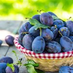 Mbrojnë zemrën dhe kontrollojnë kolesterolin, ja çfarë do të ndodhë nëse hani kumbulla çdo ditë