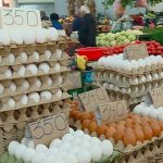 Fluturojnë çmimet e vezëve! Një vezë mbi 12 denarë