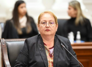 Janevska për zëvendësimin e saj të mundshëm: Do ta respektoj çdo vendim të kryeministrit