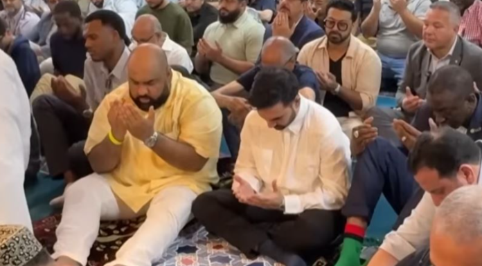 Screenshot 2025-11-10 114138