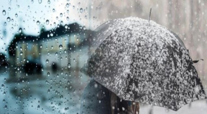 Screenshot 2025-11-20 125038