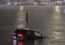 Vetura bie në det në Bari, shoferi shqiptar shpëton duke u ngjitur mbi të