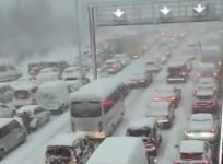 Acari polar ‘pushton’ këtë vend, stuhitë e dëborës përhapen në veri të vendit