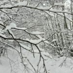 Reshje bore në natën e ndërrimit të viteve! Paralajmëron eksperti: Temperaturat deri në -20