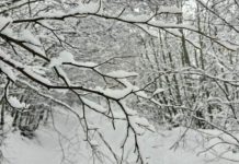 Reshje bore në natën e ndërrimit të viteve! Paralajmëron eksperti: Temperaturat deri në -20