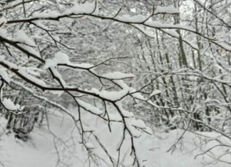 Reshje bore në natën e ndërrimit të viteve! Paralajmëron eksperti: Temperaturat deri në -20
