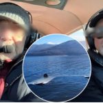 Në avion ishin dy shtetas të Kosovës, detaje nga rrëzimi i avionit në Maqedoni