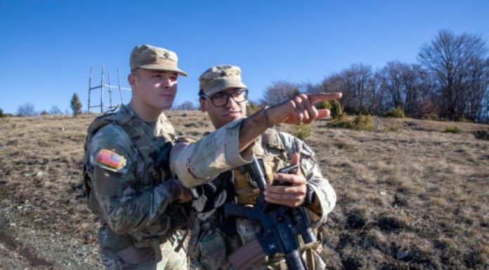 auto_unnamed_11766088286