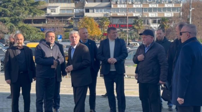 organizatoret-e-protestes