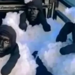 Info Shqip: U maskuan si dele për të kaluar kufirin në Spanjë, arrestohen tre algjerianë që tentuan të futen ilegalisht