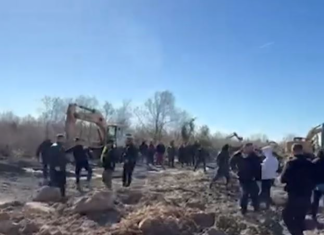 Plas grushti mes policisë dhe banorëve në Shqipëri